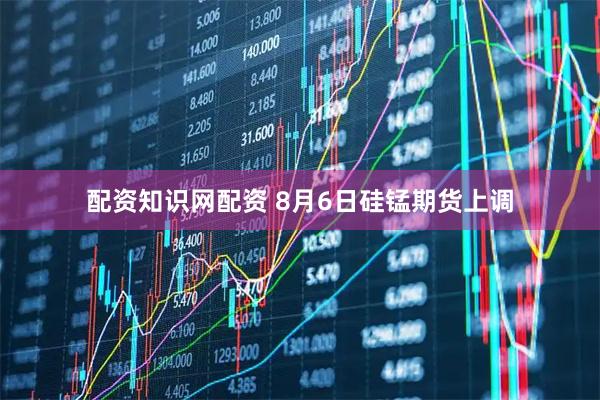 配资知识网配资 8月6日硅锰期货上调